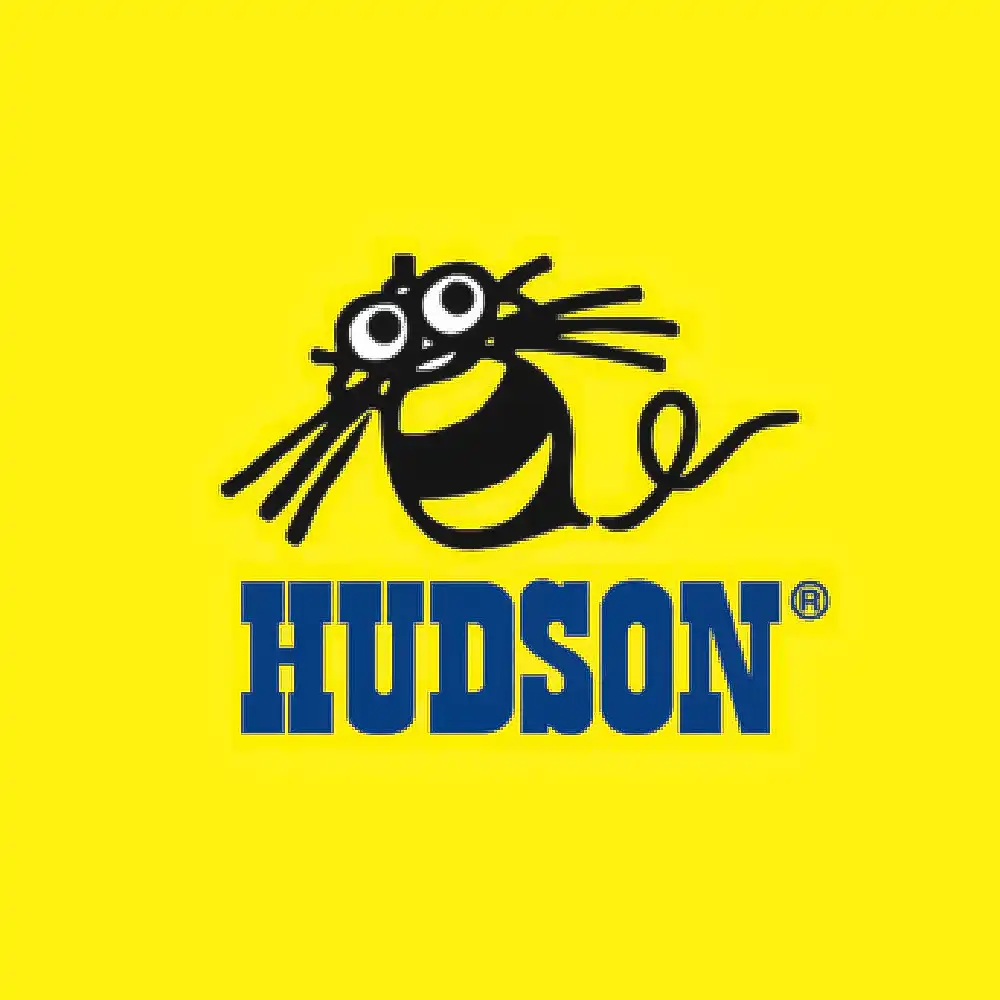 Hudson Soft Company, Limited